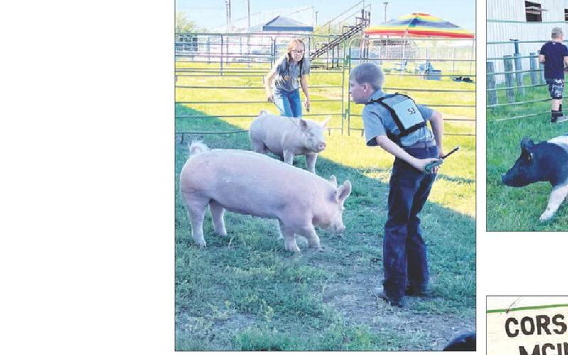 Bricelyn Pederson and Gracen Gill took home some purple and blue ratings in the swine division at the Corson County Fair.