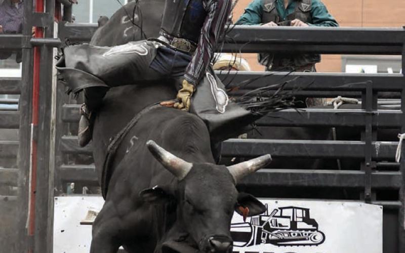 Cole Brewer (left) of Eagle Butte, the 2025 INFR Bull Riding Champion, has been invited to join the Mavericks professional bull riding team in training camp.