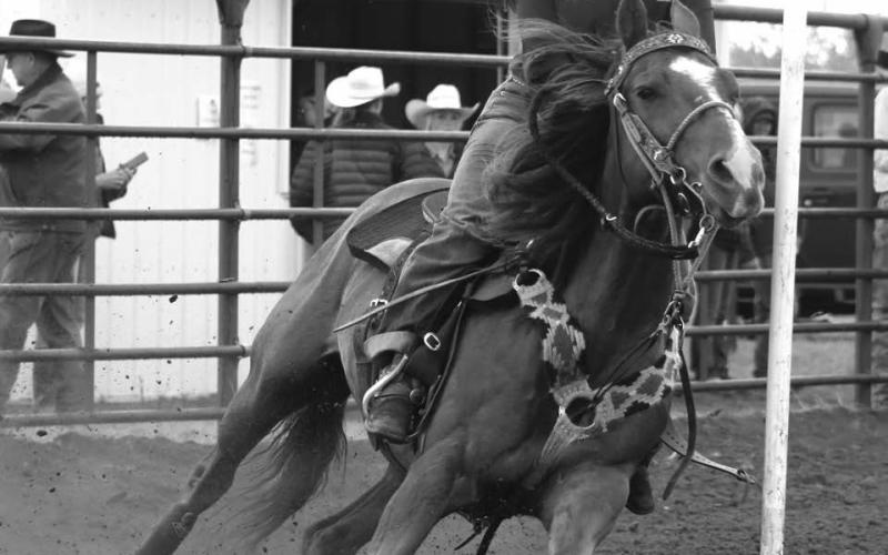 Brelan Maher of Isabel closed her eyes and hung on as she guided her horse around a pole during the Dewey County 4-H Rodeo held in Timber Lake on Sunday, May 26. 4-H members from across the region competed in the annual event. Photo by Jon Flatland Check out the Topic Facebook page for many more photos from the Dewey Co. 4-H and Timber Lake HS rodeos and the OK Livestock Steer Wrestling Shootout!