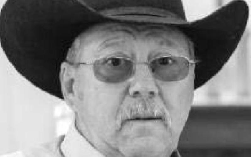 Walter James Stocklin
