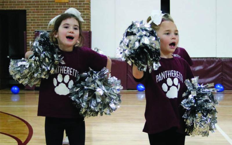 The Pantherettes