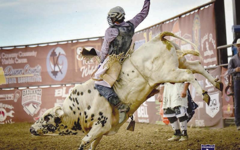 Bear Creek bull rider Stran Smith has been turning in some strong performances on the county fair rodeo circuit so far this summer, finishing in the money at events in Ellendale, ND, and Fertile, MN, last seekend. Smith scored 64 points on a Bailey Pro Rodeo bull named Charlie Sheen to claim second place at the Dickey County Fair and posted a 77 point effort on NorEaster from Triple R Rodeo to finish third overall at the Polk County Fair. Photo courtesy of Chuck Miner