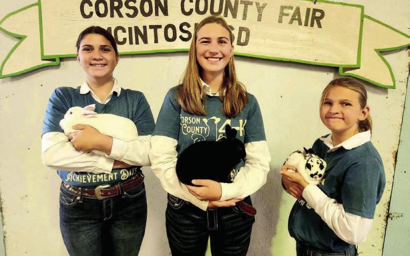 Showing their rabbits during the fair were Reva, Darla and Lila Barnes.