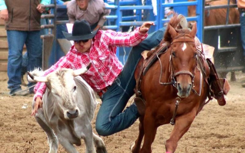 Dupree cowboy Bobby Brewer competes in steer wrestling at the South Dakota Northwest Region High School Rodeo held in Dupree last Saturday and Sunday, June 8-9. Brewer qualified for the State High School Rodeo Finals for the second consecutive year and will compete for a state title in Ft. Pierre this weekend. Photo by Jon Flatland