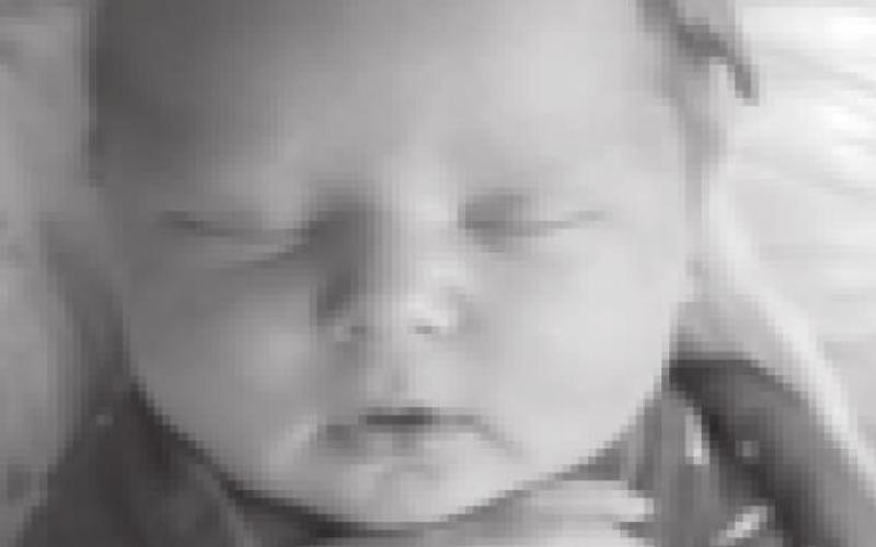 Tilly Bry Al born Aug. 16