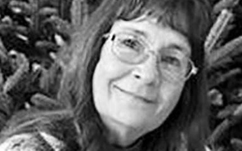 Wendy Kaye Shupick