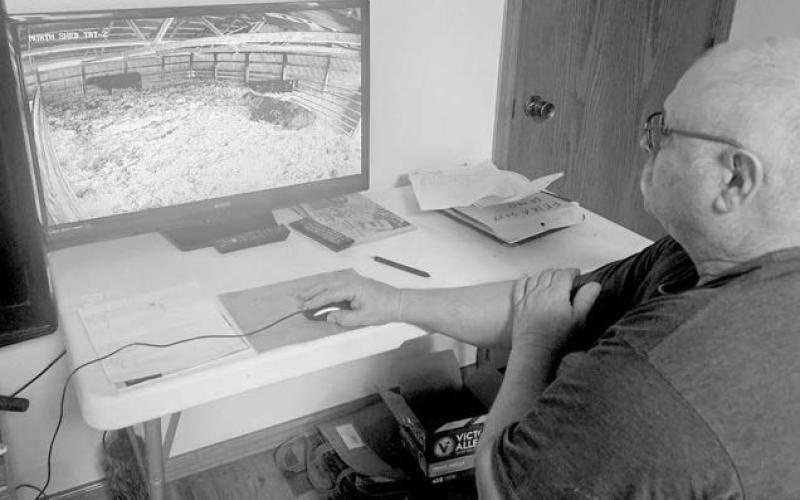 Calving goes high-tech