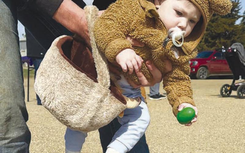 Little Denver Enright was one of the youngest participants at the annual Dewey County 4-H Easter egg hunt, which was held April 11, after being postponed due to weather on Easter weekend. Denver’s dad, J.D., offered some assistance. (More inside.) Topic Photo/Kathy Nelson
