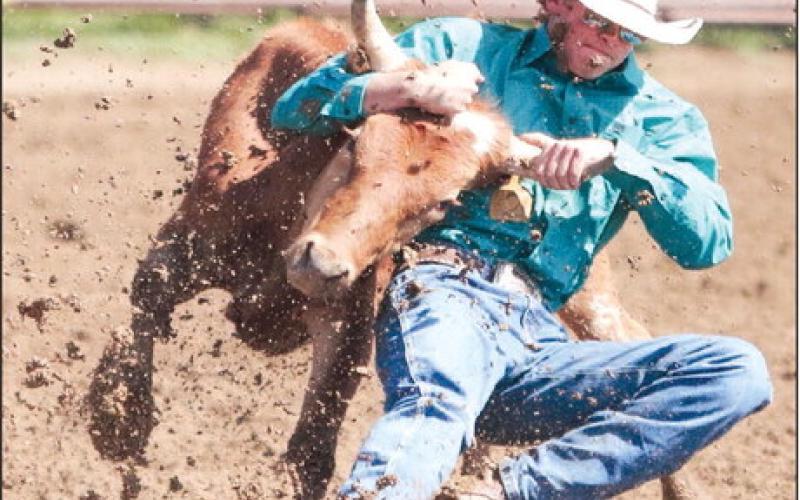 Mud Wrestlin’ ... Mud flies as Stran Williams of Wall, SD, takes his pass at steer wrestling during the 62nd Pioneer Days Rodeo held Saturday and Sunday, June 24-25, as part of the community’s annual celebration. Six inches of rain and high winds made competing difficult on Saturday night but the sun was shining and all contestants had to contend with was the mud and cantankerous stock on Sunday. Check out more photos from the rodeo on the Timber Lake Topic Facebook page. Photo by Jon Flatland