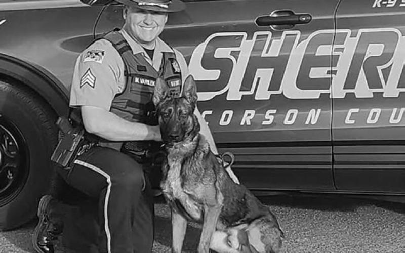 Corson County Sheriff’s Office K9 Zigi receives donated body armor