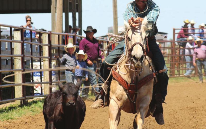 Rope Roghair of Isabel throws his loop during the regional high school rodeo in Dupree on Saturday. Photo by Jon Flatland