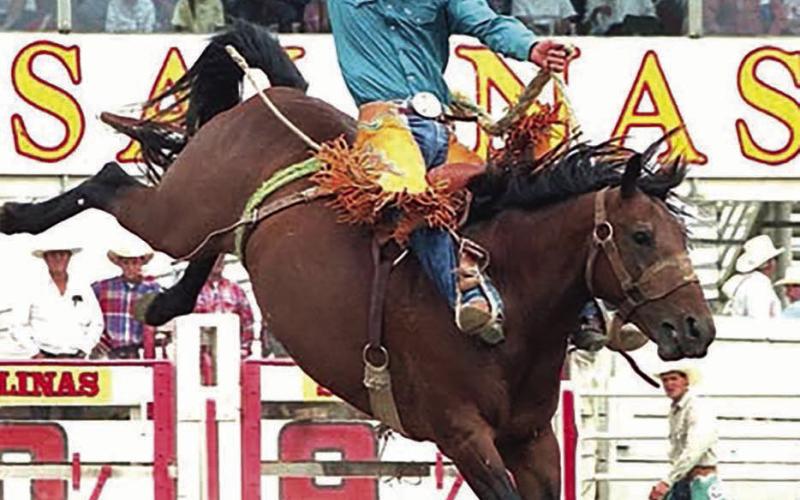 Bud Longbrake of Dupree, who qualified for five National Finals Rodeos and multiple Indian National Finals Rodeos was tragically killed Dec.20 in a one-vehicle accident on his ranch.
