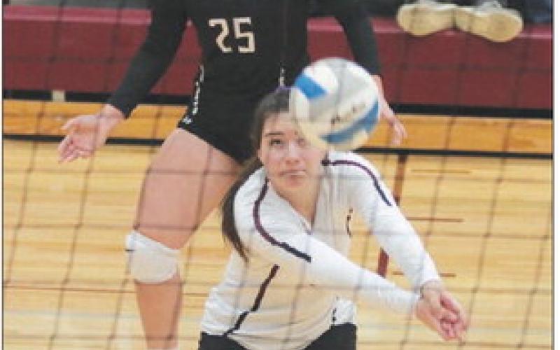 Bump, Set, Spike ...