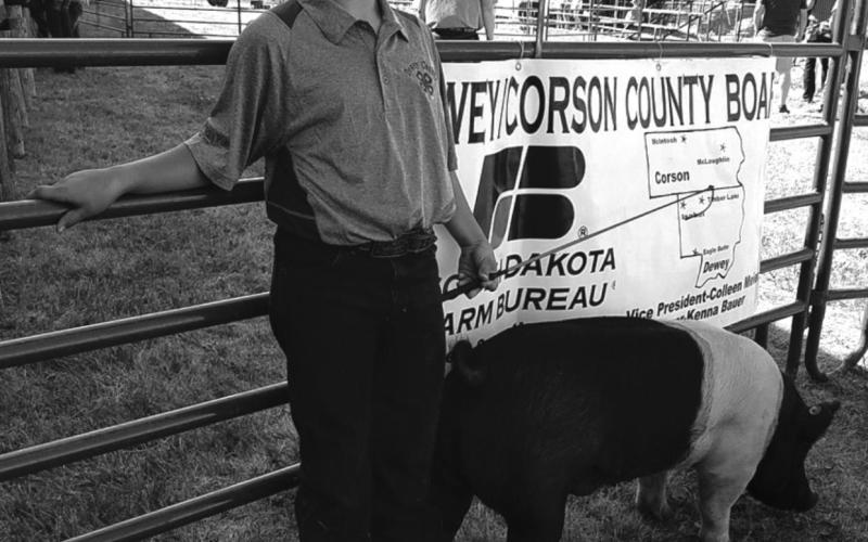 Levi Berndt won Grand Champion and Reserve Champion in the market swine division.