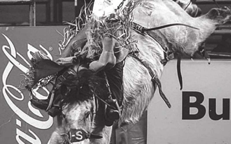 Shorty Garrett had a srong performance at Rodeo Rapid City recently. Photo courtesy of Bryan Bender Photography