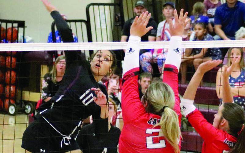 Hammer Time ... Timber Lake senior Jasmine Nash (10) smashes a kill spike during Homecoming Week action against the Bison Cardinals last Thursday, Sept. 5. The Panthers claimed a three-game sweep over the Cardinals with Nash leading the team in service aces, blocks and kills.
