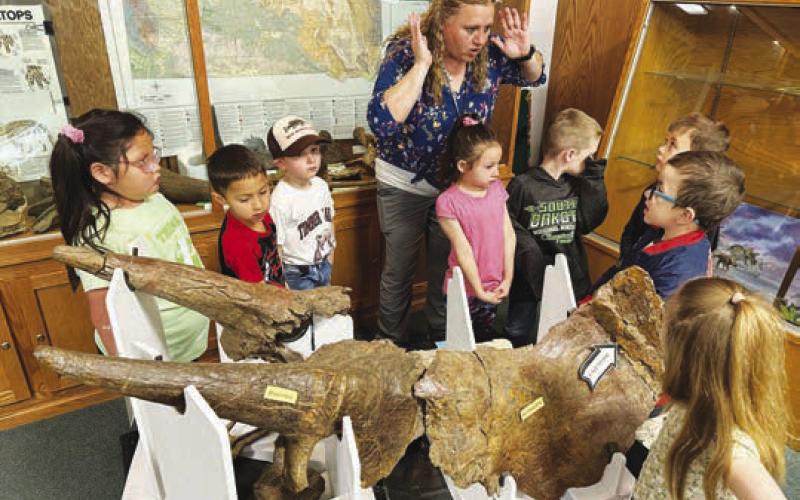 Jr. Kindergarten teacher Sarah Schweitzer explains the frill of the triceratops during a museum field trip.