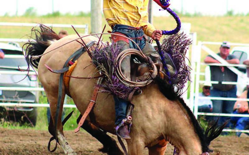 Cinch Hebb of Rapid City and formerly of Eagle Butte, waves his hat and lets out a shout during his first place-winning ride at the WSRRA Ranch Bronc shootout held Saturday in Eagle Butte as part of the community’s Hometown Days celebration. Photo by Jon Flatland