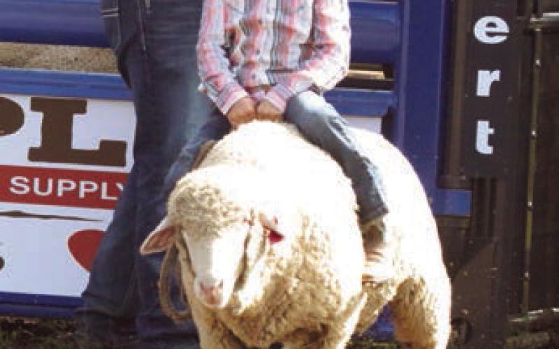 Ona Garreaux of Eagle Butte shows the form that won her first place in the Mutton Bustin’ competition at the 3 Rivers Ranch Rodeo held in Timber Lake on Saturday, Sept. 30.