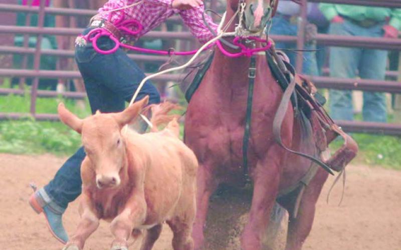 Rope Roghair of Isabel dismounts while competing in the Senior Boys Tie-Down Roping competition during the Saturday session of the 63rd annual Ziebach County 4-H Rodeo in Dupree on Saturday. Photo by Jon Flatland