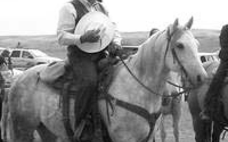 Gilbert Marshall