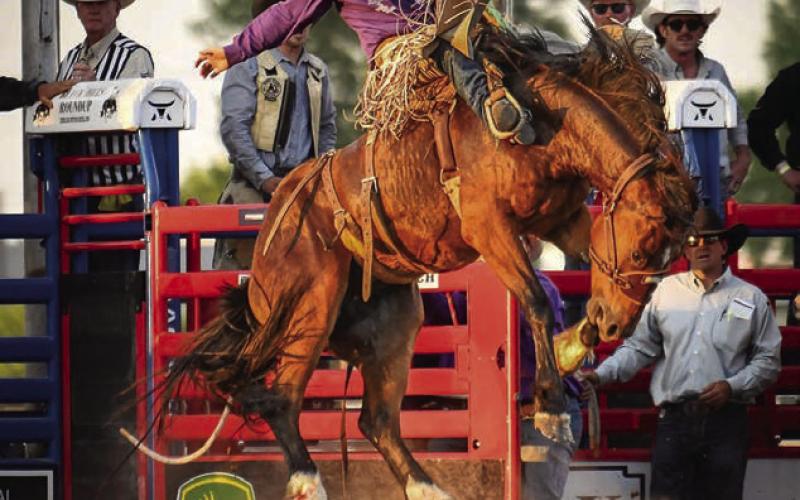 Shorty Garrett is currently ninth in the world standings in saddle bronc riding. Photo by Hailey Rae, courtesy of Black Hills Roundup