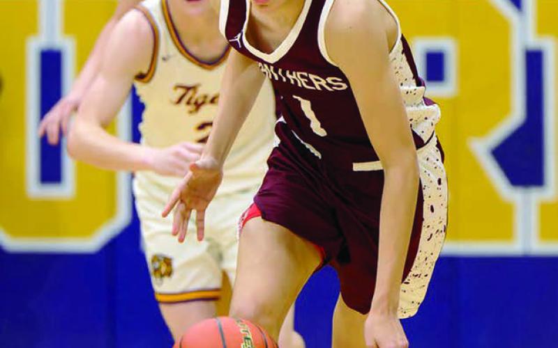 Jackson Bigger pushes the ball upcourt on a Timber Lake fast-break during recent action against Dupree. The Panthers will end their regular season schedule Friday, Feb. 27 at Gettysburg. Topic Photo/Marie DuPreez