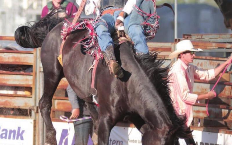 Bareback rider