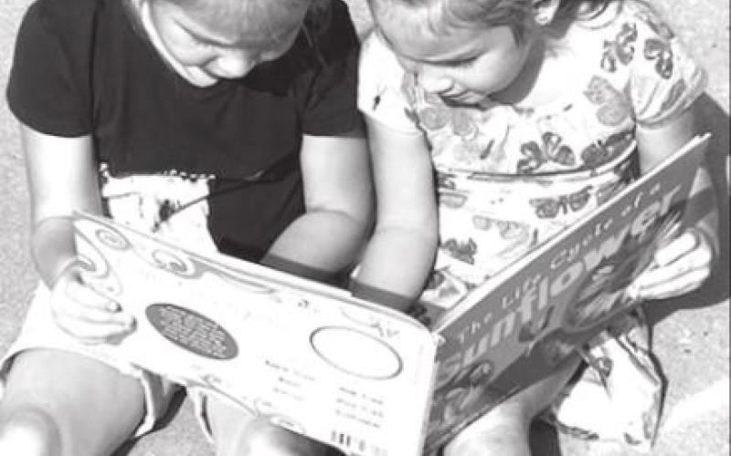 Students at Work