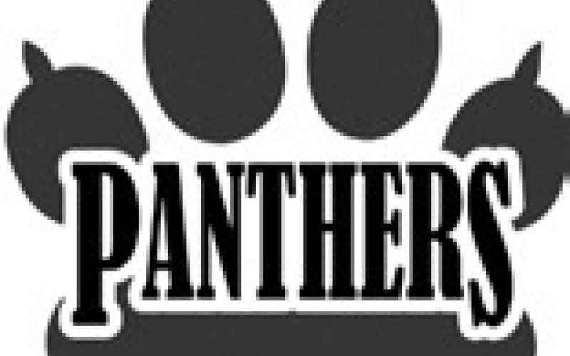 Good Panthers for November