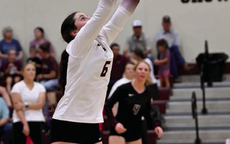 Timber Lake junior Ruby Maher sets a shot for one of her teammates to spike during recent volleyball action. After going winless in the Ipswich Subway Invitational Tournament, the Lady Panthers are hoping to turn their fortunes around in the Little Moreau Conference Tournament slated Saturday, Sept. 27 in Timber Lake. Photo by Marie Du Preez