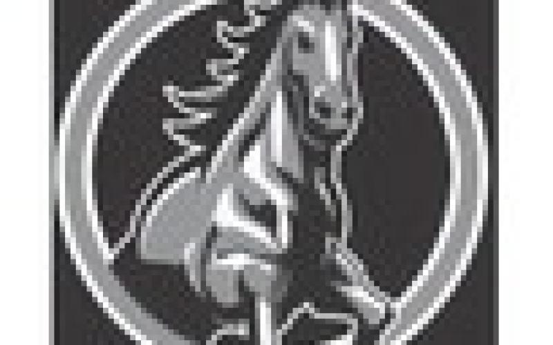Seven Mustangs reach finals at Potter Co. JV meet