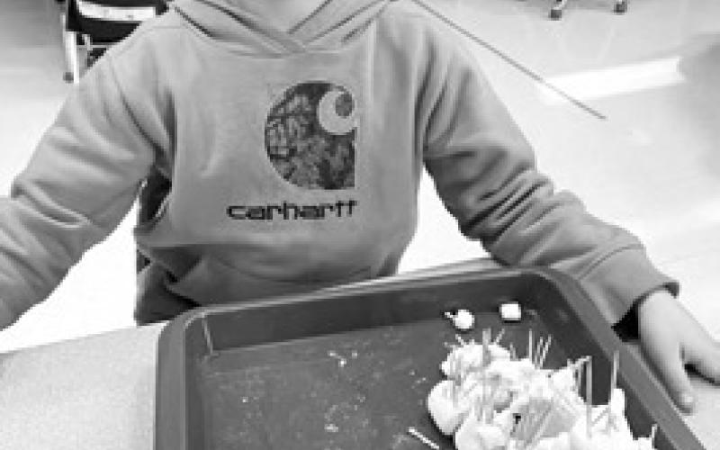 Zeph Jewett- I learned that penguins can swim really good and hold their breath for 10-15 minutes. Polar bears paws are really good for swimming because they have that webbed stuff.