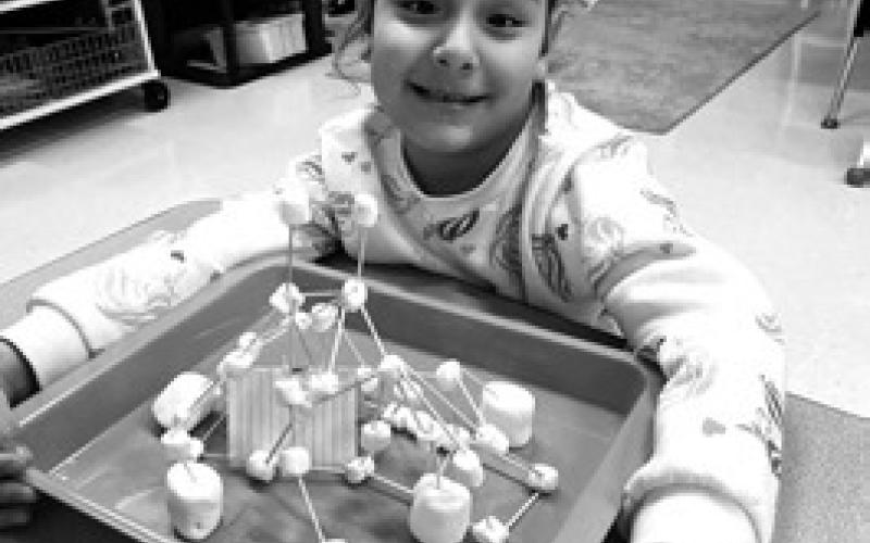 Sophia Ley- Penguins eat fish. They hatch. They don't live in South Dakota. Why?