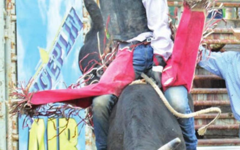 High School Rodeo: Timber Lake competes at Highmore Regional
