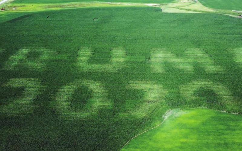 Precision planting offers some valuable tools in the way of optimization and efficiency, and also an opportunity for some fun and expression.