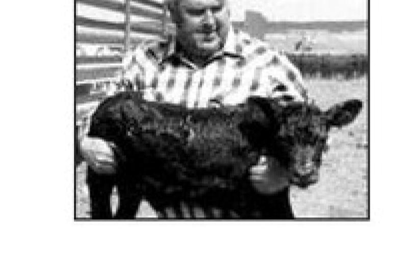 Jeffrey Strehlow