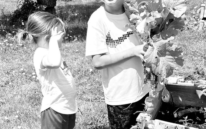 Ready for picking