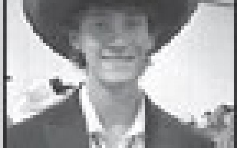 Alt Text for Image