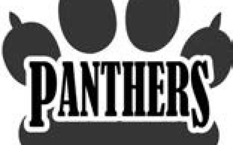 Good Panthers for April