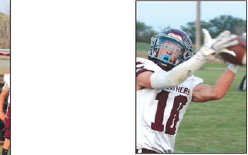 Timber Lake receiver Gavin Farlee pulls in a pass during third quarter action against Dupree. He had three catches for 66 yards.