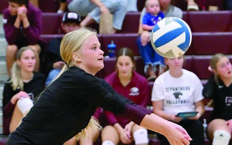 Hailey Roggow (above) bumps the ball during Timber Lake’s season opener against Harding County last week. The Ranchers upended the Panthers 3-0 in the match. (left) The Panthers celebrate winning a point after a long volley. Photos by Marie Du Preez