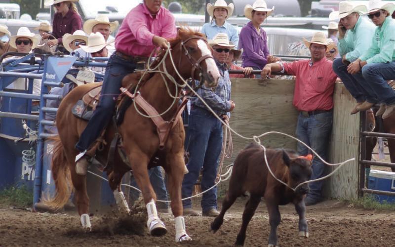 Riley Glines of McIntosh competes in a roping event at the State 4-H Finals Rodeo in Ft. Pierre.