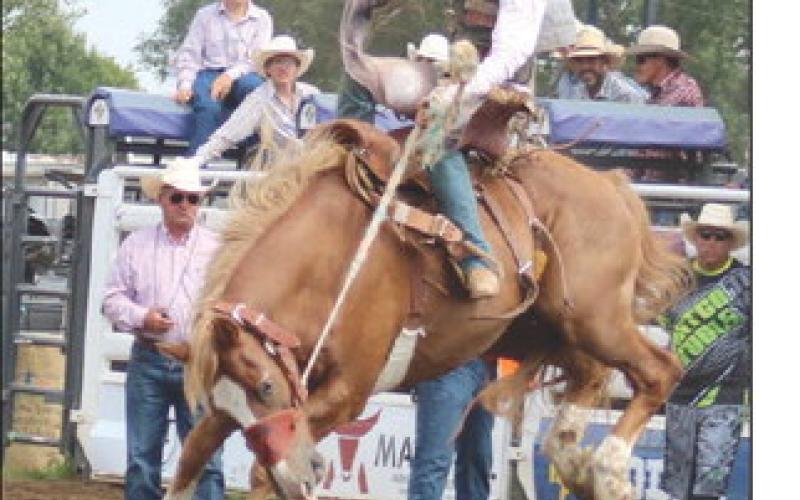 Traden Meeks of Dupree started this saddle bronc ride in great position but ended up in the dirt during Saturday morning’s State 4-H Rodeo.