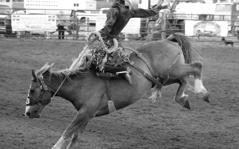 Dupree High School cowboy Cruz Birkeland took a tour of the Dupree Rodeo Arena on Saturday while competing in the annual Pioneer Days Rodeo’s showcase of high school talent. Photo by Jon Flatland