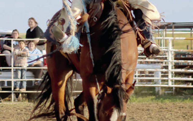 Ride him cowboy ... Owen Garreaux of Eagle Butte shows off the form that won him first place in the Hometown Days Ranch Bronc Riding event held last Thursday, July 17, at the Eagle Butte Rodeo Arena. Photo by Jon Flatland