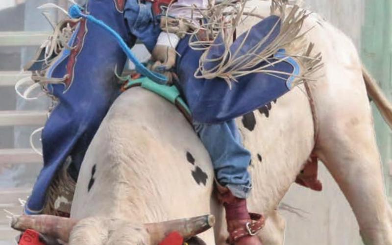 Mark Sandquist of Trail City won the bull riding at Timber Lake High School rodeo held May 28. Photo by Jon Flatland