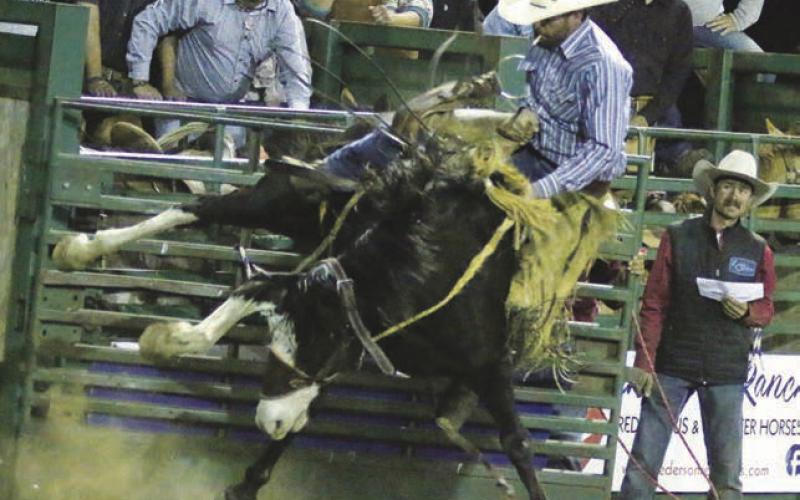 Ranch rodeo