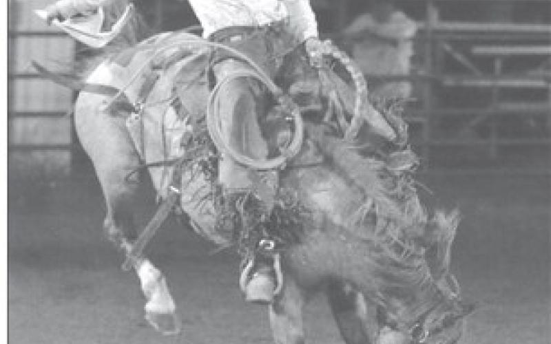 Crowd favorite Cinch Hebb claimed fourth place in ranch bronc riding at the Three Rivers Ranch Rodeo held in Timber Lake on Saturday, Oct. 1, with a 73 point effort. The Eagle Butte cowboy leads the ranch bronc riding standings of the Western States Ranch Rodeo Association (WSRRA) and will compete for the world championship in early November. Photo by Jon Flatland