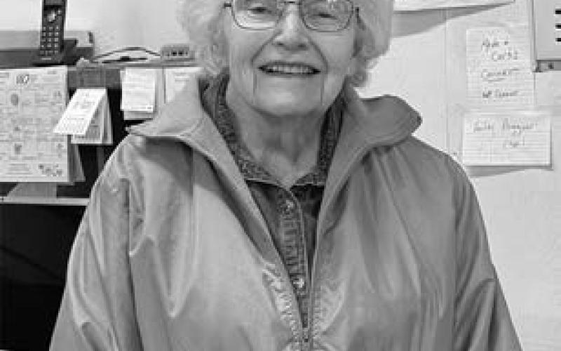 Carol Lipp